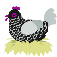 A sable and silver chicken with a lace pattern