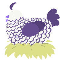 A white and overcast chicken with a lace pattern