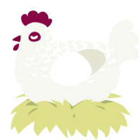 A white chicken with a half-lace pattern