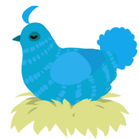 A cerulean and sky chicken with a bar pattern