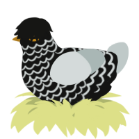 A black and silver chicken with a lace pattern