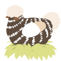 A bark and cream chicken with a bar pattern