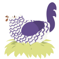 A white and overcast chicken with a lace pattern