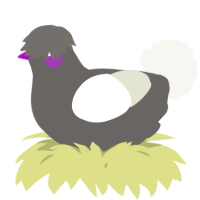 A grey and white chicken