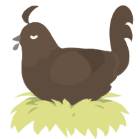A bark chicken with a head pattern