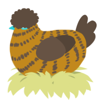 A ochre and bark chicken with a bar pattern