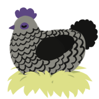 A ash and black chicken with a lace pattern