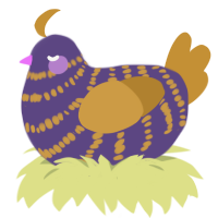 Avin, a overcast and gold chicken with a bar pattern