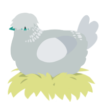 A silver and mist chicken with a neck-band pattern