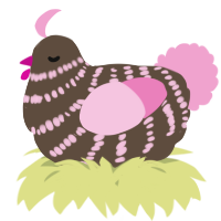 A bark and pink chicken with a bar pattern