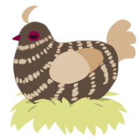 Red Velvet Brownie, a bark and beige chicken with a bar pattern
