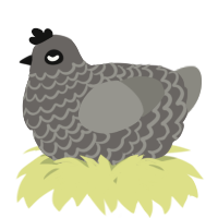 A grey and ash chicken with a lace pattern