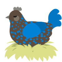 A bark and sapphire chicken with a speckle pattern
