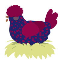 A navy and maroon chicken with a speckle pattern