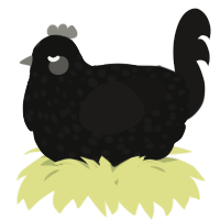 A black and sable chicken with a speckle pattern