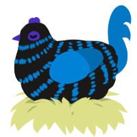 A sable and sapphire chicken with a bar pattern