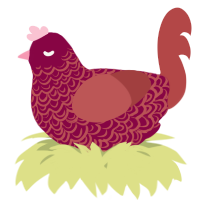 A maroon and red chicken with a double-lace pattern