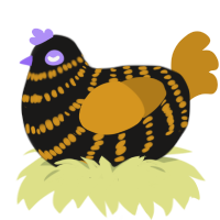 Black tiger, a sable and ochre chicken with a bar pattern