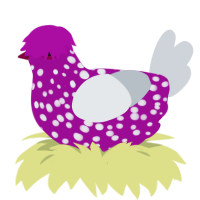 Salami, a plum and mist chicken with a speckle pattern