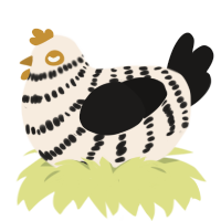 Revese oreo, a cream and sable chicken with a bar pattern