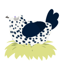 A white and tumblr chicken with a speckle pattern