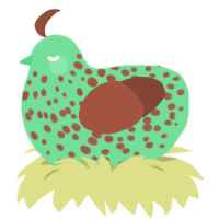 Kiwi, a spring and russet chicken with a speckle pattern