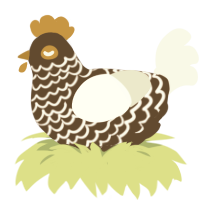 Café Miel, a bark and white chicken with a lace pattern