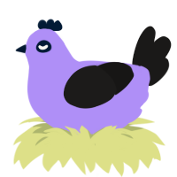 Licorice, a lilac and sable chicken