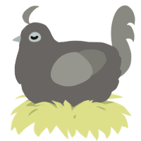 A grey and ash chicken