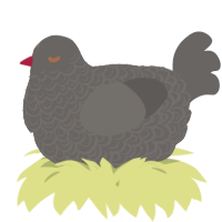 A grey chicken with a double-lace pattern