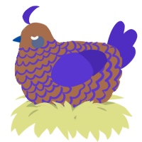 A brown and indigo chicken with a lace pattern