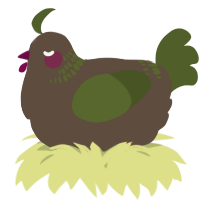 A bark and olive chicken with a neck-band pattern