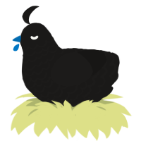 A sable chicken with a lace pattern