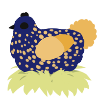 A navy and honey chicken with a speckle pattern