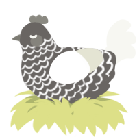 A grey and white chicken with a lace pattern