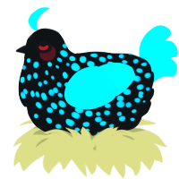 A black and aqua chicken with a speckle pattern