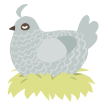 (unnamed), a silver chicken with a lace pattern