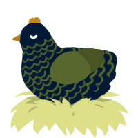 A tumblr and olive chicken with a lace pattern