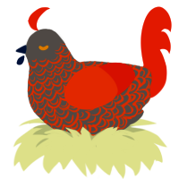 Firebrand, a grey and vermilion chicken with a double-lace pattern