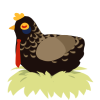 Hypnotize, a black and grey chicken with a half-lace pattern