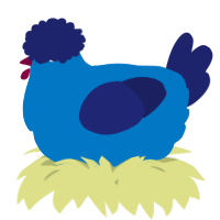 A sapphire and navy chicken