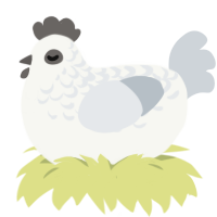 Mist, a white and mist chicken with a half-lace pattern