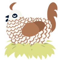 A white and brown chicken with a lace pattern