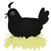 A black and sable chicken with a lace pattern