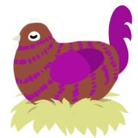 Velvet, a russet and plum chicken with a bar pattern