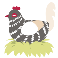 A grey and cream chicken with a bar pattern