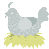 A silver chicken with a speckle pattern
