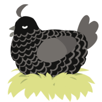 A black and grey chicken with a lace pattern
