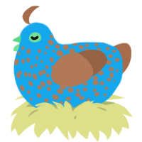 A sky and brown chicken with a speckle pattern