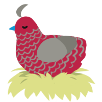 Redbull, a crimson and ash chicken with a lace pattern